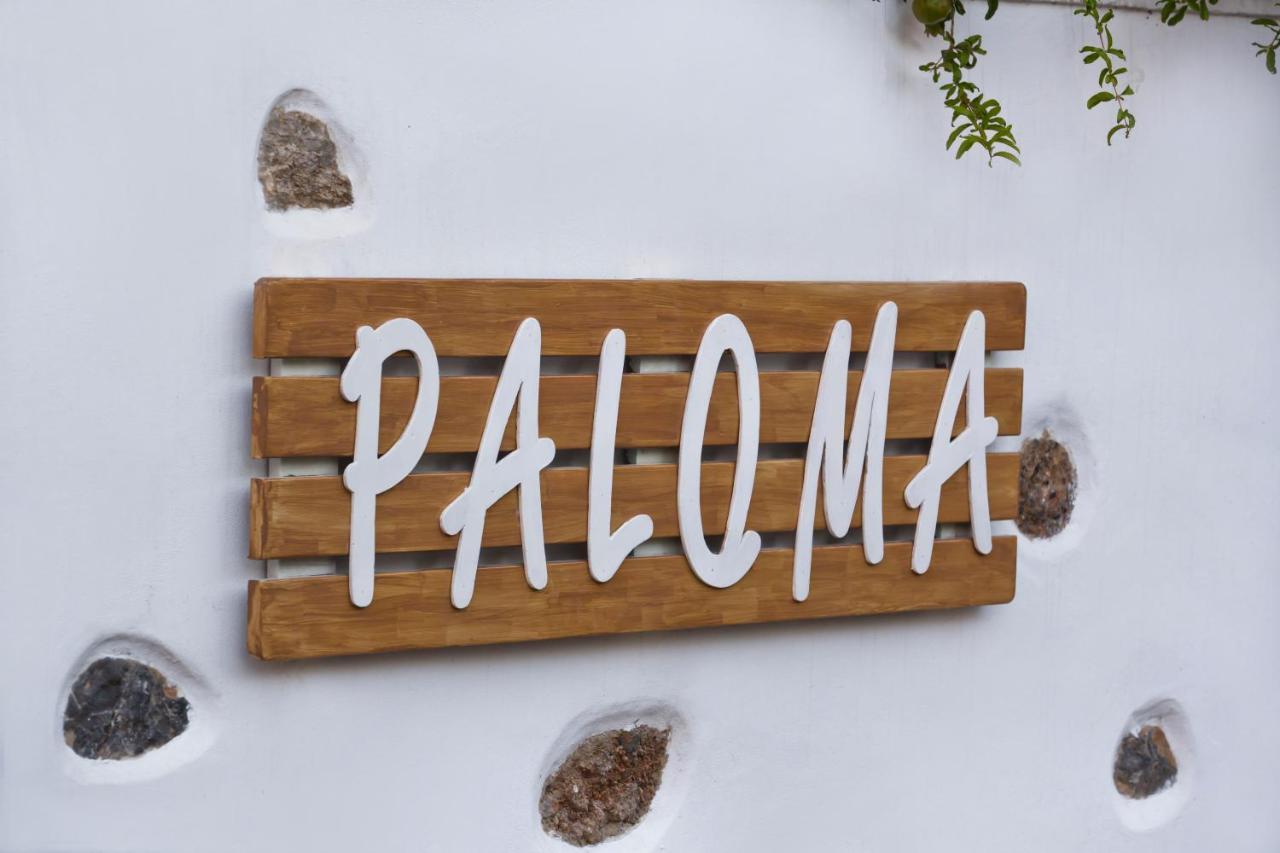 Paloma Luxury Studios Panormos  Kültér fotó